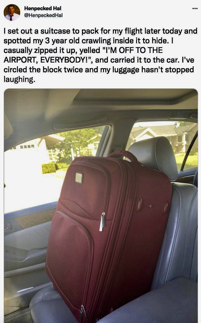 Развлекаются