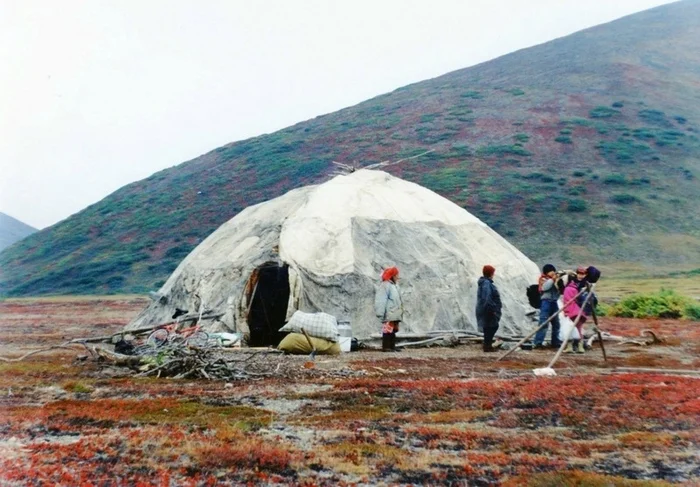 Yaranga - the dwelling of the polar Vikings - My, История России, Arctic, Cat_cat, Longpost