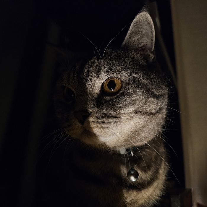 ������, ��������� ���������� � ����� ������� ����