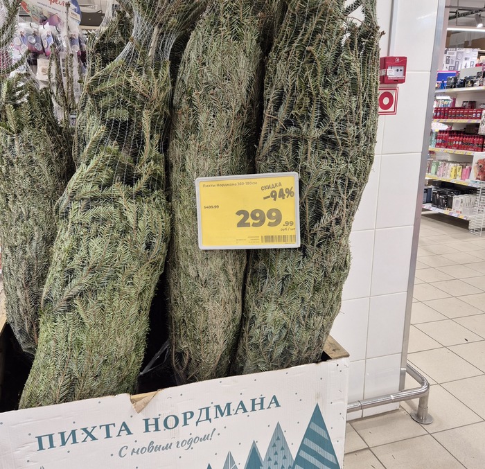 ������� ���������