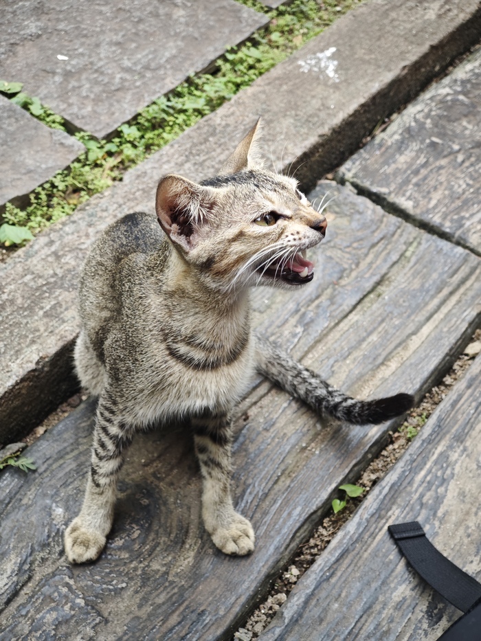 �������!!!