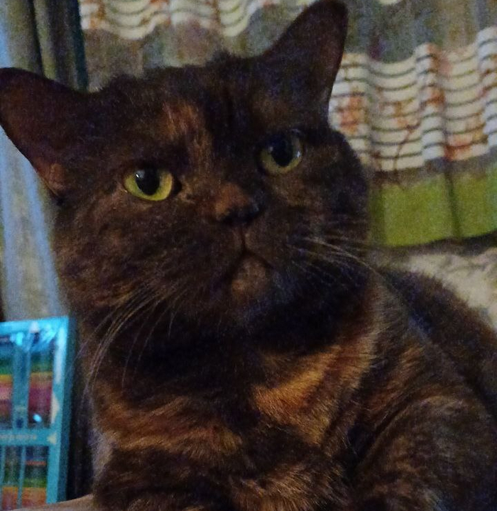 ,    :     ,        ?