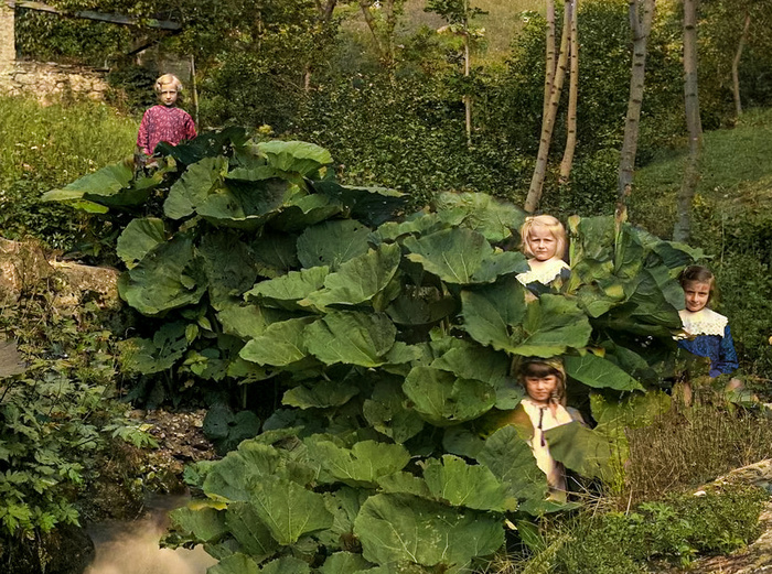 Осколки истории : Интересные и редкие ретро-фотографии Европы. 20 раскрашенных фотографий ХХ века. Часть XIV Старое фото, Историческое фото, Фотография, Нидерланды (Голландия), Венгрия, Франция, Португалия, Германия, Италия, Швейцария, Швеция, Испания, 20 век, Европа, Колоризация, Длиннопост