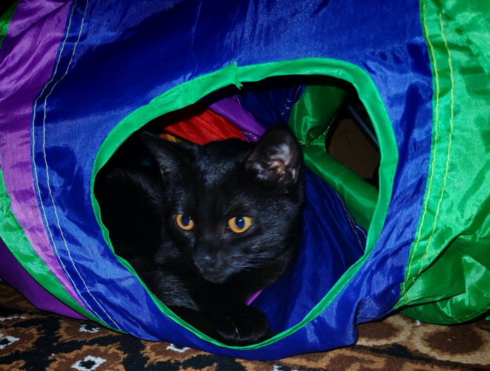 � �������� ������. 