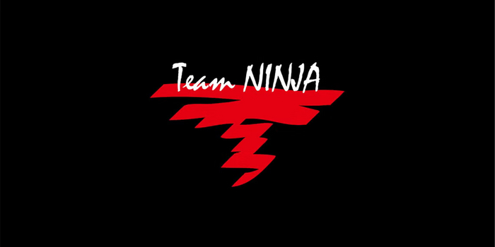 Team Ninja      30-   , Steam,  , Ninja Gaiden