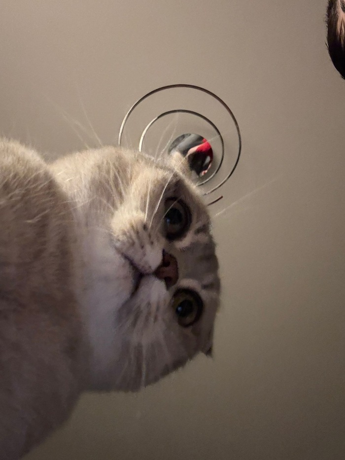    , ,  , 