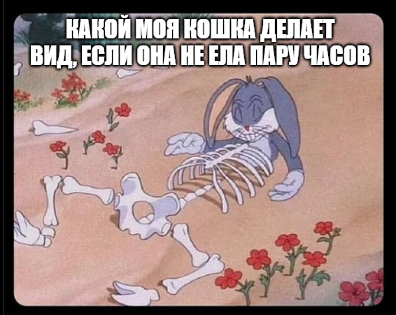 Бедное голодное животное