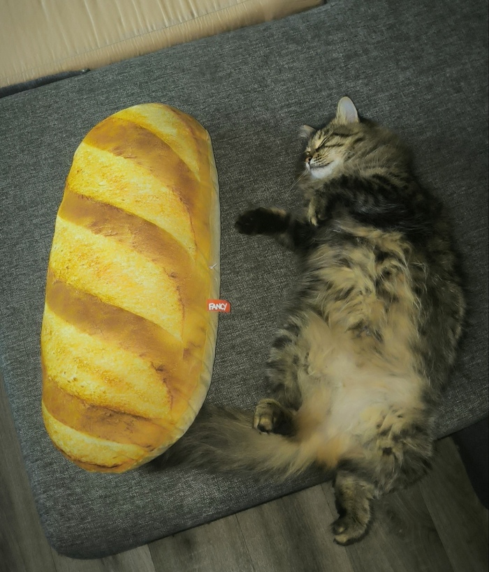 ����� ������ � ����� ������