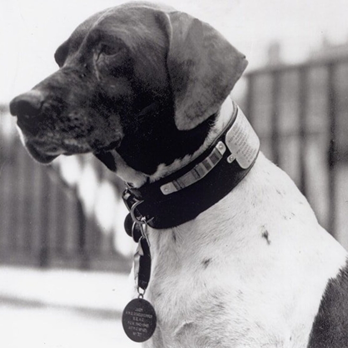 �� ������ �����...