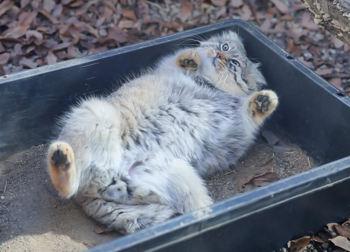 По моему у меня сбился режим...