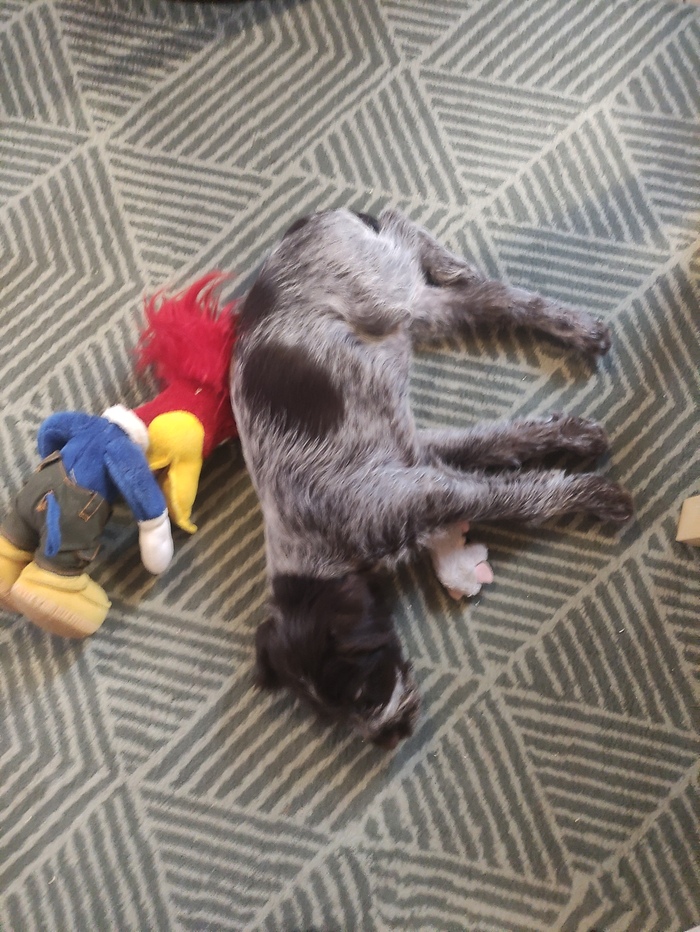 с любимой игрушкой