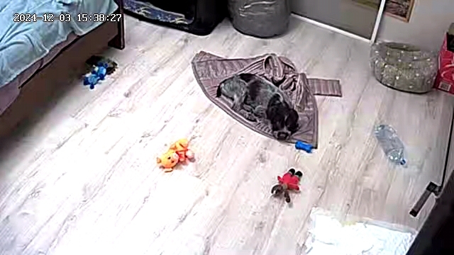 Своровала куртку, лежит, балдеет, PS. Куртка цела осталась.