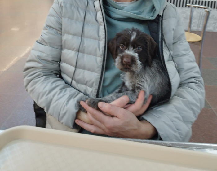 было в 2 месяца