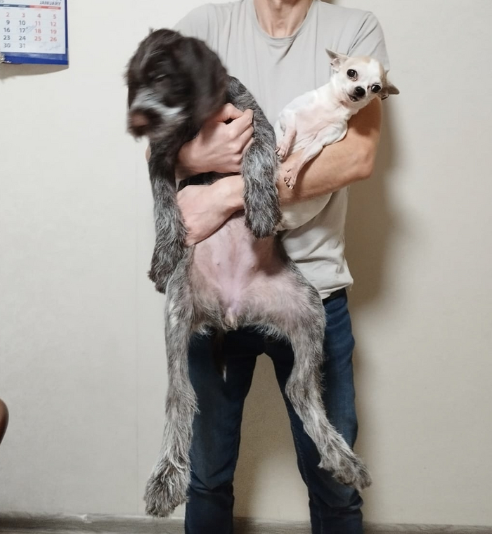 стало в 3,5 месяца