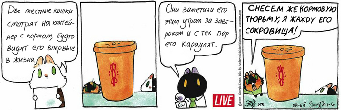 Котейкины Новости от 06.01.2025