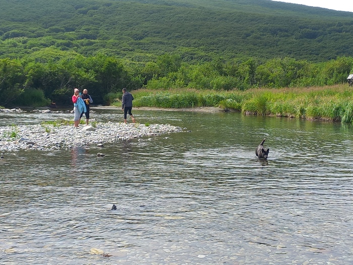         , -     -      (     ;-) ).