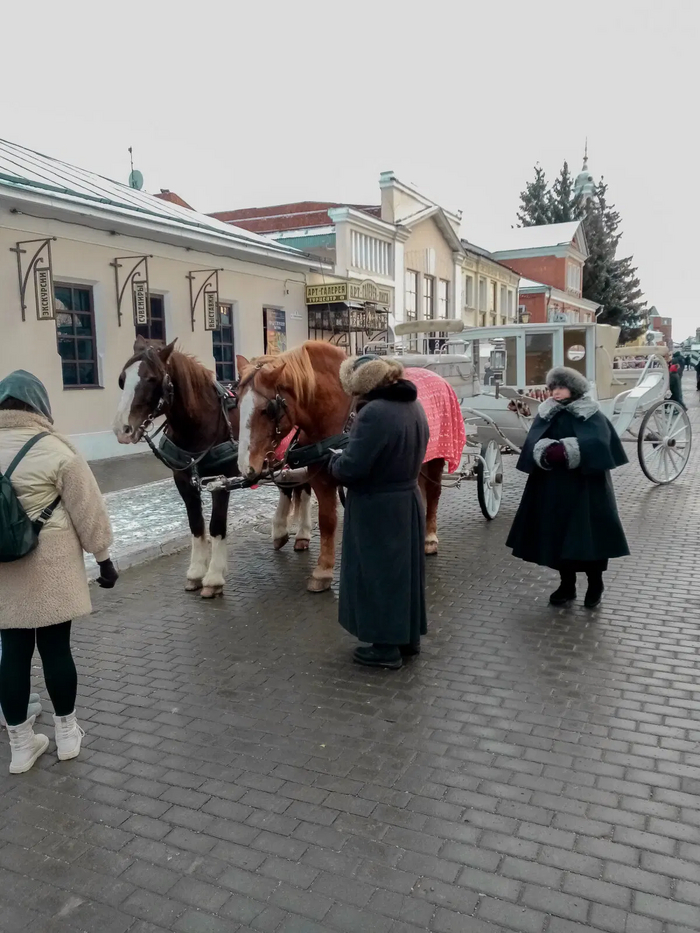 Коломенские лошади 