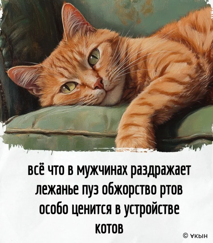 The cat is the highest level of a man's development, the top step on the ladder. - Humor, Irony, Screenshot, cat, Men, Powder