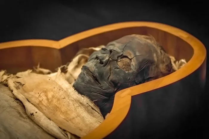 Plague pathogen DNA found in this 3,300 year old mummy - My, Nauchpop, Research, Scientists, Mummy, DNA, Plague