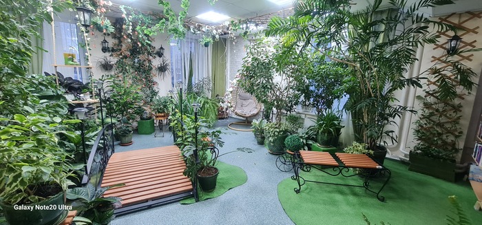 Настоящий зеленый оазис для любителей почитать в зимние месяцы!