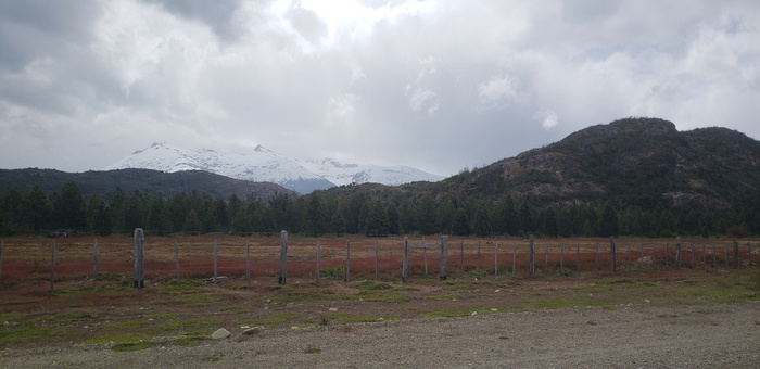 �������� ���� ��������