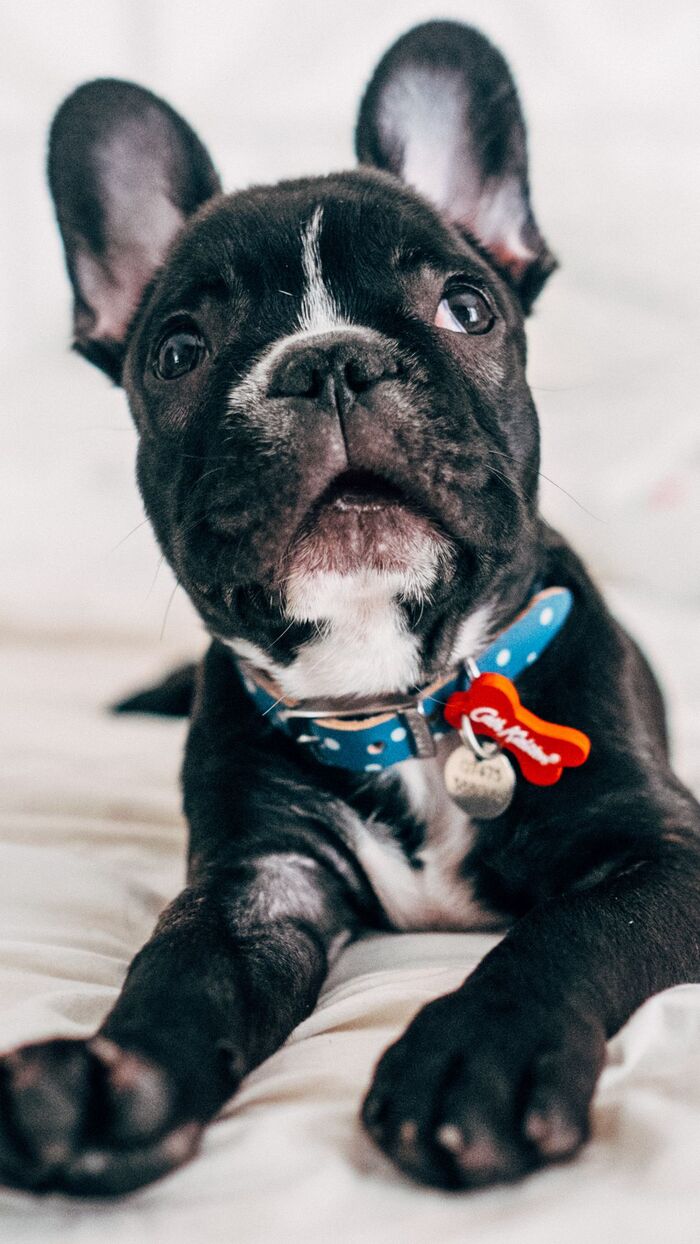 Фото из свободного источника.