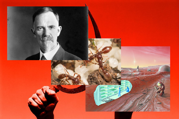 Евгеника. Клоны. Прогресс