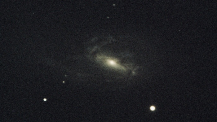 M66