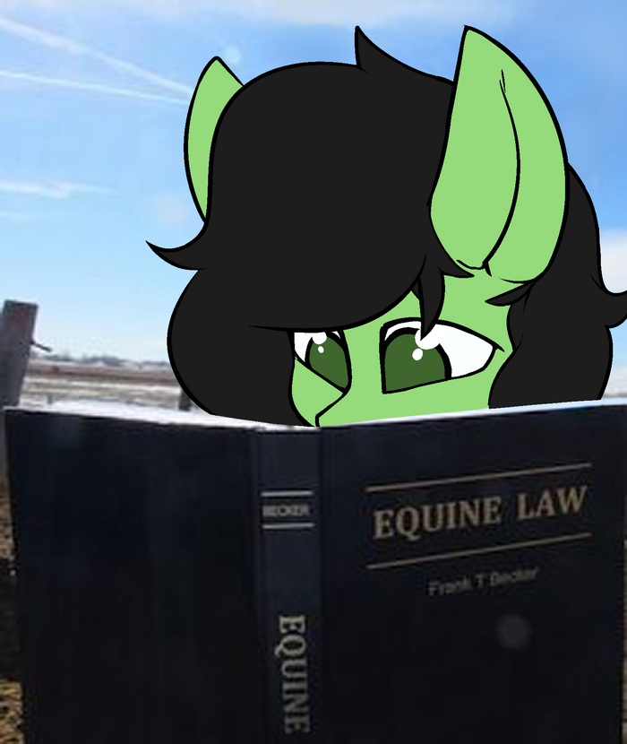 Educated Filly My Little Pony, Filly Anon