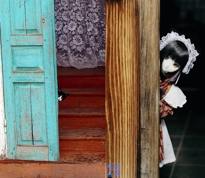 Reality vs Phantasy - Шарнирная кукла, Кот, Коллаж, Dollfiedream
