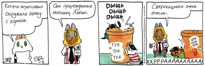 Котейкины Новости от 07.01.2025