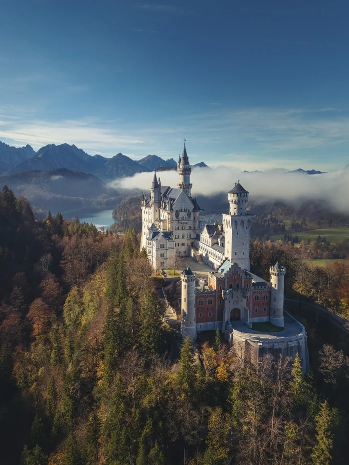 Neuschwanstein Castle in Bavaria, Germany - The photo, Photographer, Landscape, Lock, Forest, The mountains