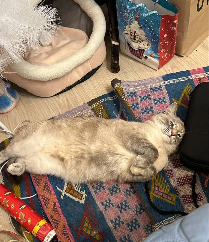 ����� ��� � �����