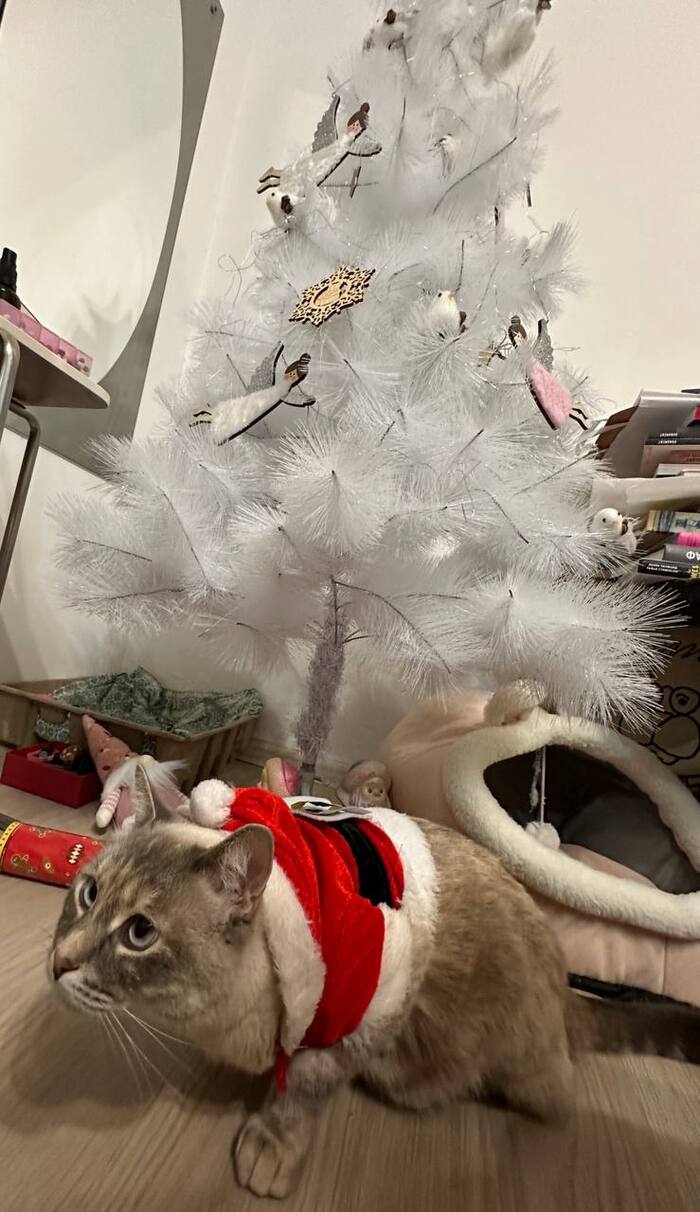 ����� ��� � �����