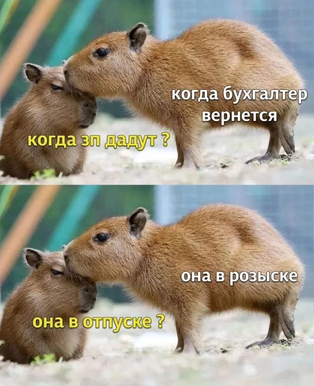 Зп не будет