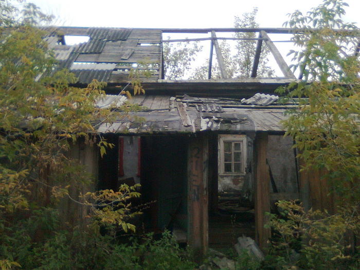 Фотографии Ильи Евлампиева, 2012 год.