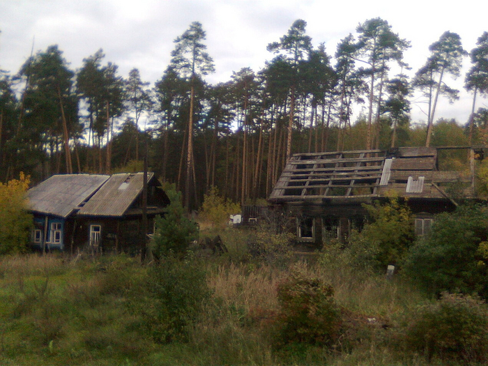 Фотографии Ильи Евлампиева, 2012 год.