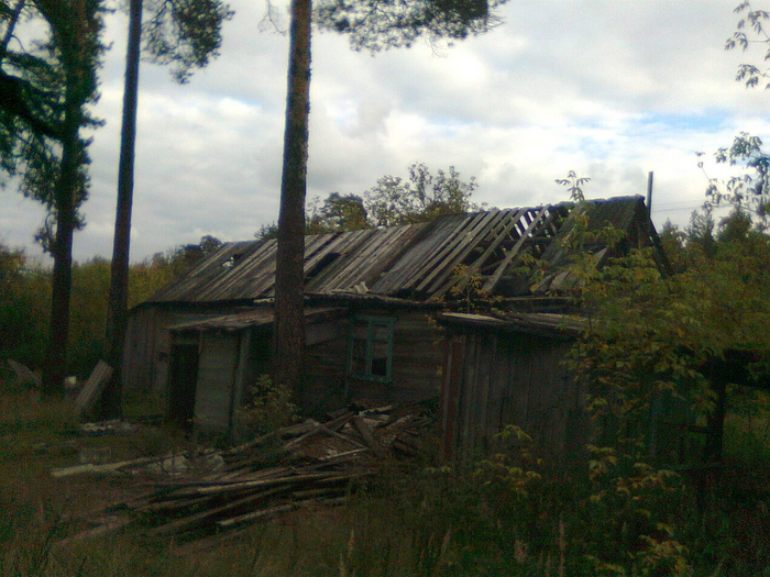 Фотографии Ильи Евлампиева, 2012 год.