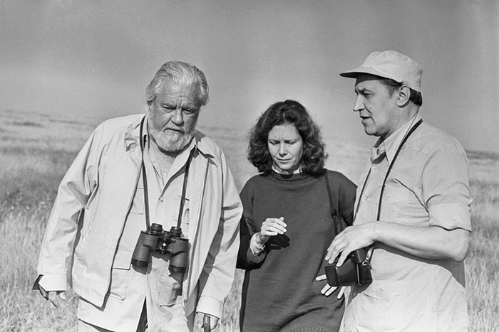      ,                л, 1985