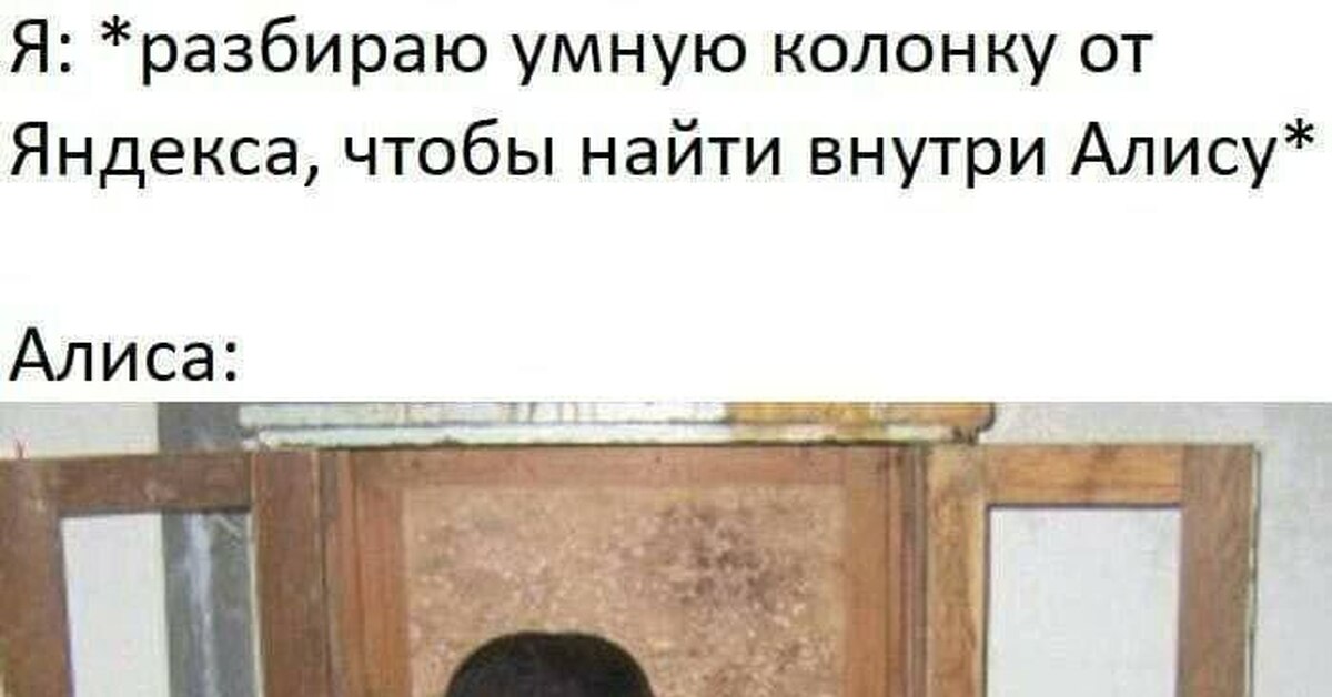 Алиса | Пикабу