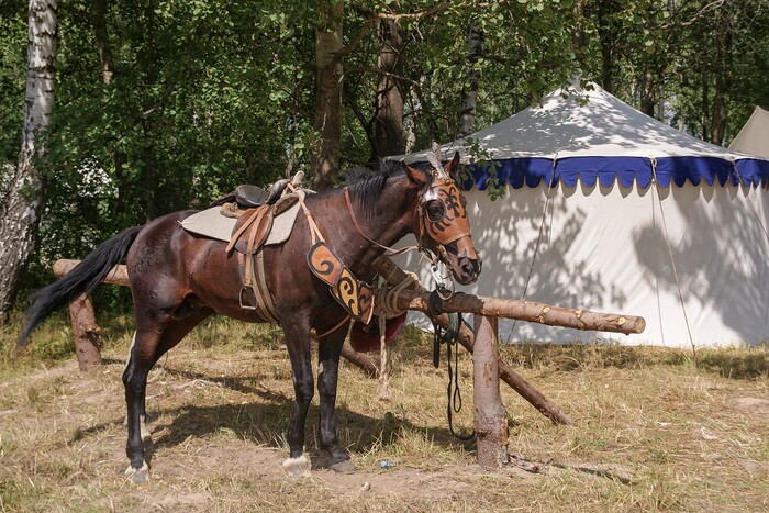 Тоже ведь участвует в косплее