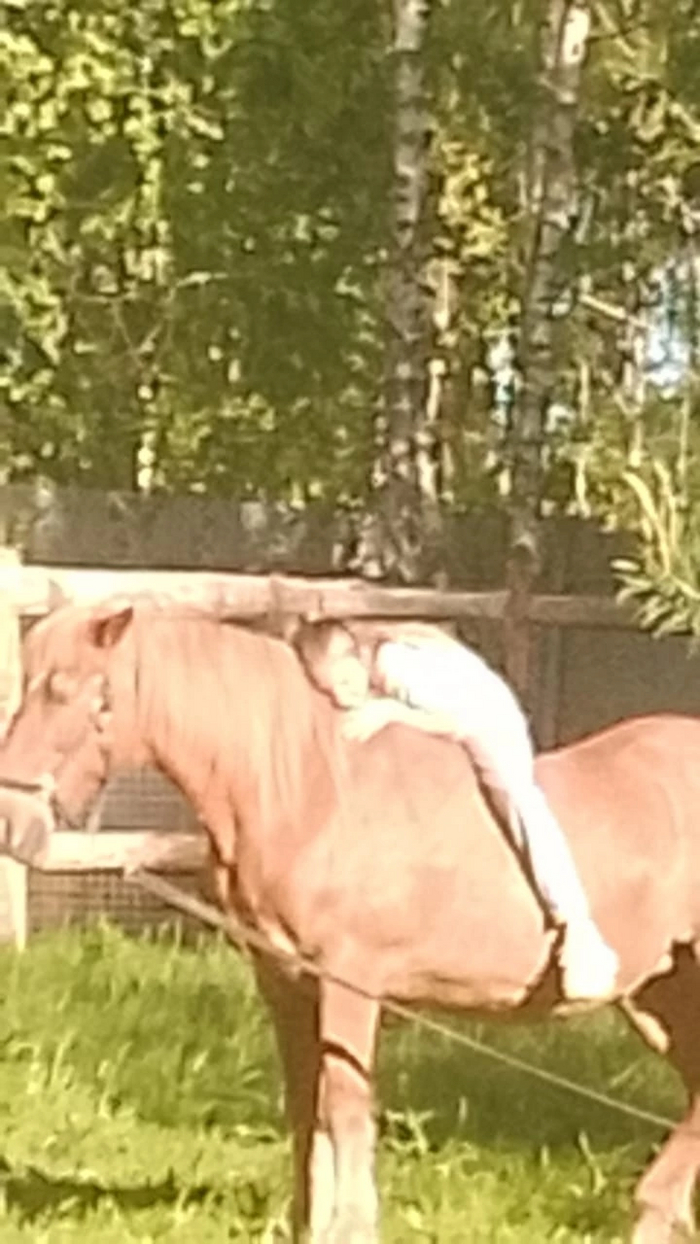 Говорят, свобода рождается у лошади на спине