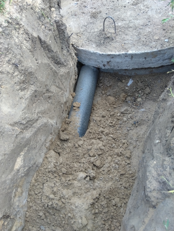 ����� ���� ��� ������