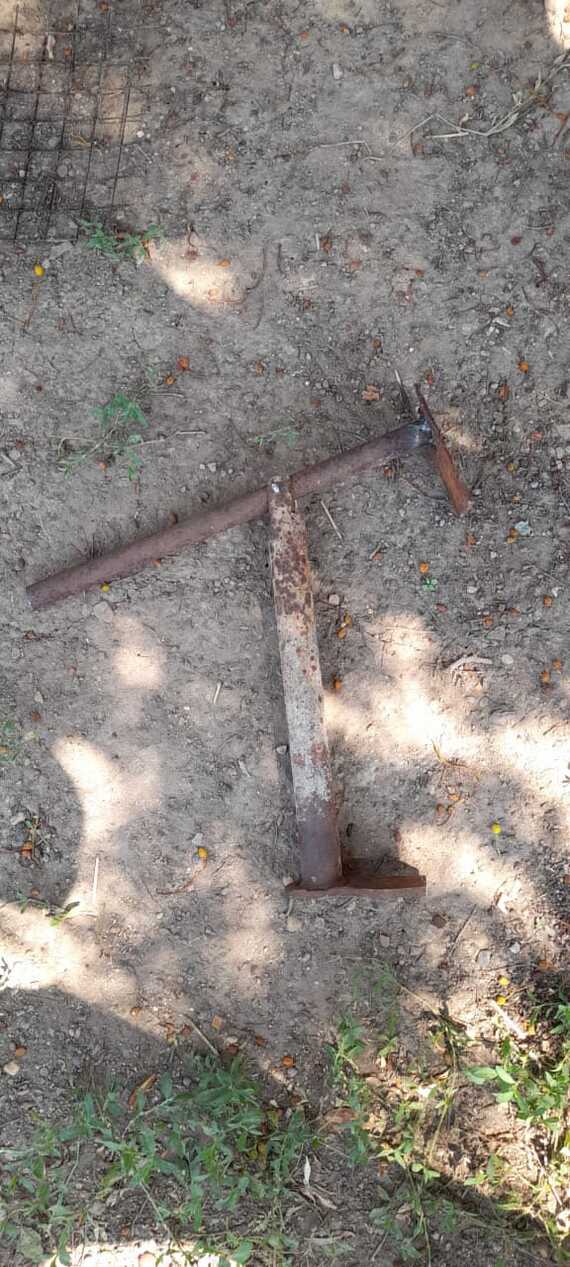 ��� �����