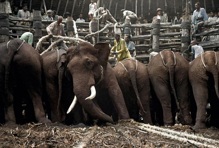 Необычные и интересные снимки из разных стран мира, сделанные в XX веке. 20 раскрашенных фотографий. Часть III Историческое фото, Старое фото, Прошлое, Фотография, 20 век, Колоризация, Длиннопост