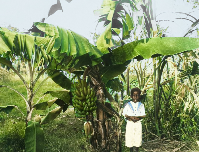 Необычные и интересные снимки из разных стран мира, сделанные в XX веке. 20 раскрашенных фотографий. Часть III Историческое фото, Старое фото, Прошлое, Фотография, 20 век, Колоризация, Длиннопост