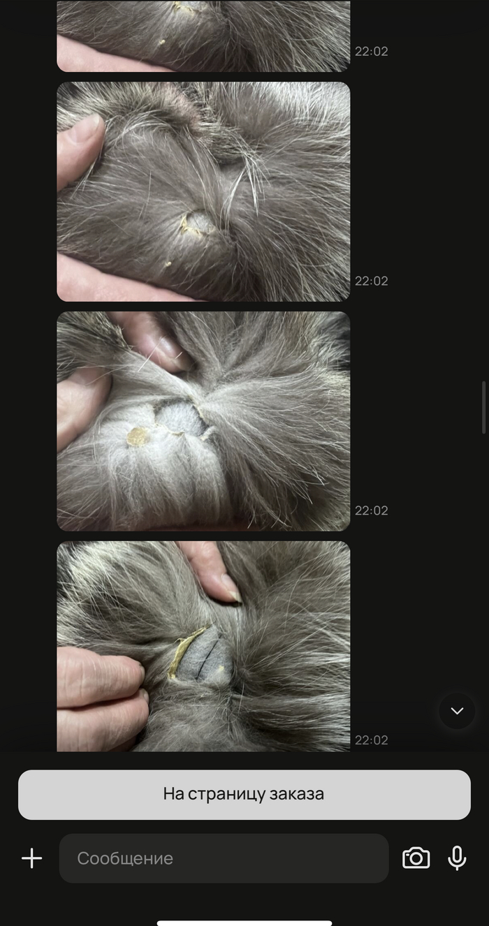 ������, ������ ������ ��� �������, ��������� ���� ��������, ��� �������� ���������� ����� �� ���� � ��������� �������� �������, ��� ��� ��� ������ � ������� �� ��� ���� ( �� ����� ���������) ����� � � �� ���������. 