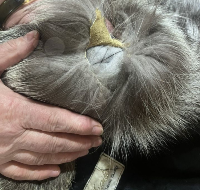 ��� ���� ��� ����� � ������ �� ���������, ������ ����� �������� �������� � �����, �.� ��� ���� ����� ����� 10 ����������, ��� ������� ���� ������������ ����� ���������� ��� ���������.