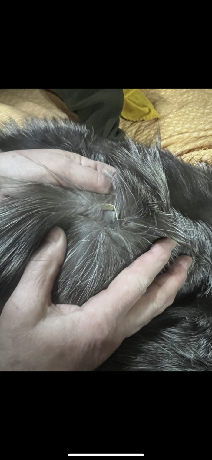 �� ���� �������� �� ���������� �����, �� ������������ - � �� ������, ����� ����� � ��� �� ��� ���������� 