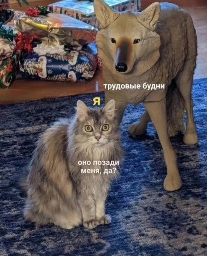 ��������� �����������